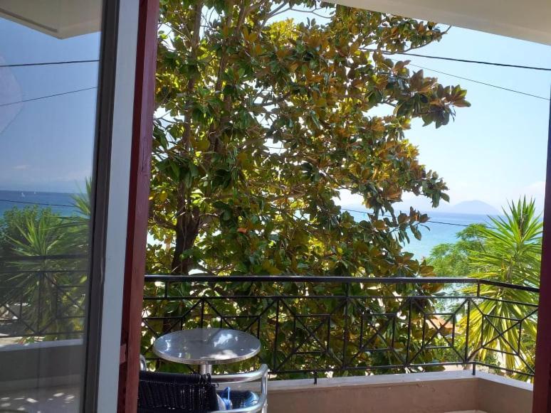 Altina Sea View Apartments ヴァシリキ エクステリア 写真